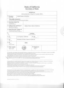 Apostille document sample